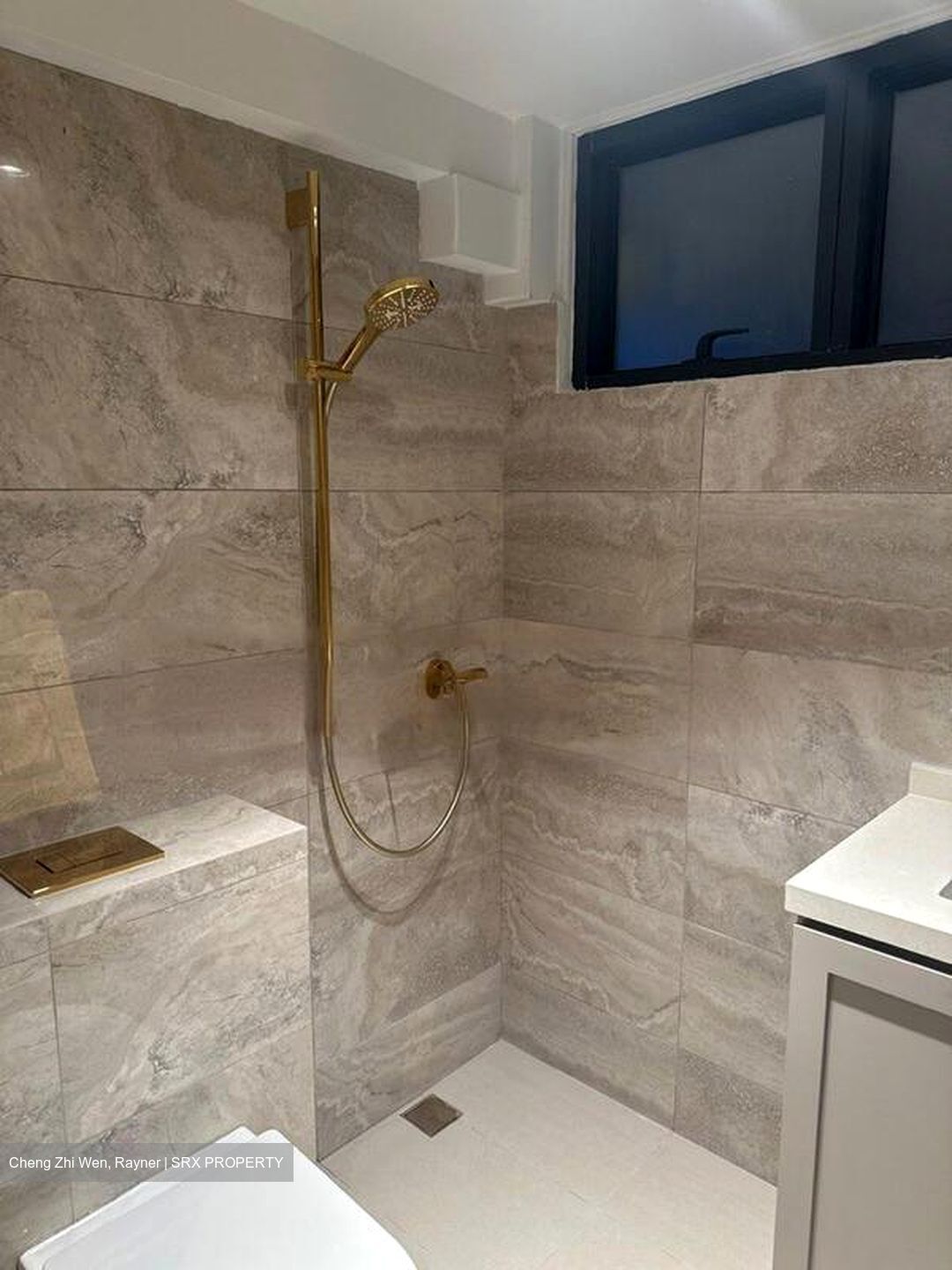 Blk 91 Skyterrace @ Dawson (Queenstown), HDB 4 Rooms #458057811